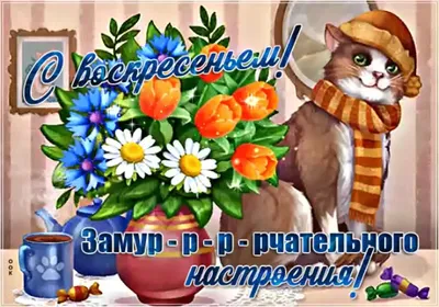 С добрым воскресным утром! Классных выходных! Отличного воскресенья!  Позитивчик для друзей!☕💃🏻 | Бой-Баба | Дзен