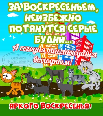 Картинки пожелания "Хороших выходных!" (255 шт.)