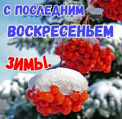 Пин от пользователя Татьяна Шапошникова на доске ЗИМА. Новый год и Зимние  праздники. | Праздник, Праздничные открытки, Открытки