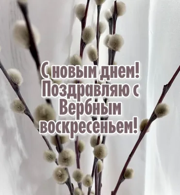 💗 Открытка офигенного воскресного дня лучшим друзьям! скачать бесплатно |  классного воскресенья | открытка, картинка 123ot