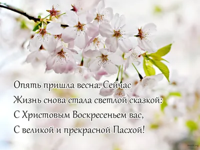 Всех православных христиан поздравляю со Светлым Христовым Воскресением! —  Официальный сайт Добровского сельского поселения Симферопольского района  Республики Крым