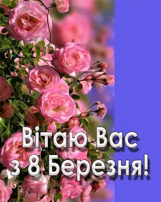 ДОРОГИЕ ЖЕНЩИНЫ, ПОЗДРАВЛЯЕМ С 8 МАРТА! » Общественный Новостной Портал