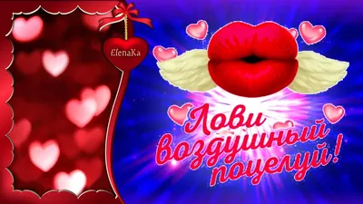 День воздушного поцелуя! — BOOKитека