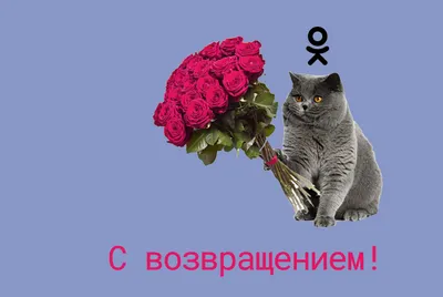 Соцсеть Одноклассники: в чём особенности и как с ней работать?