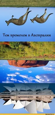 Купить 1 шт., переключатель управления временем, контроллер времени,  промышленный таймер, механический таймер 15 минут-24 часа, интеллектуальное  управление | Joom