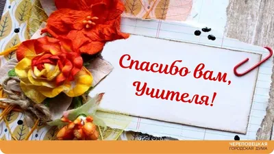 Открытки с Международным днем спасибо