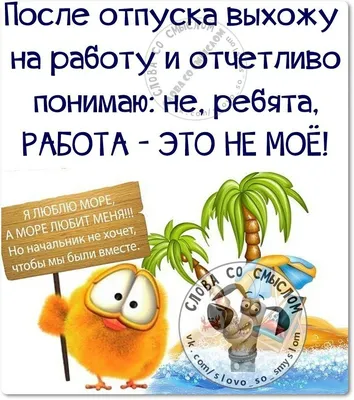 Как уйти в академический отпуск: методичка — Новости — НИУ ВШЭ в  Санкт-Петербурге — Национальный исследовательский университет «Высшая школа  экономики»