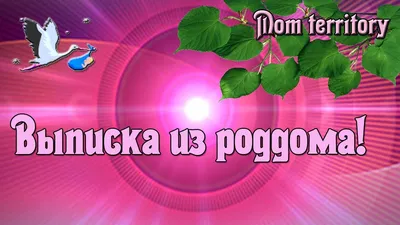 С выпиской из роддома картинки