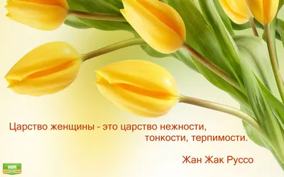 РУБРИКА "Мудрые мысли цитаты фразы выражения известных людей". #цитаты  #афоризмы #мысли #высказывания #выражения #рассуждения #ум… | Fictional  characters, Character