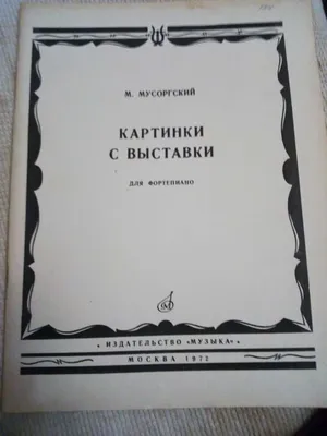 Картинки с выставки собак 5 — обсуждение в группе "Собаки" | Птичка.ру