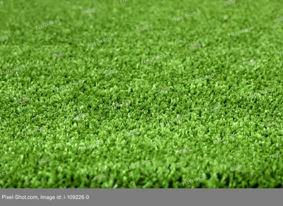 обои с зеленой травой, зеленый, трава, зеленая трава фон картинки и Фото  для бесплатной загрузки