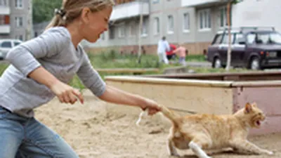 Торт с животными из зоопарка "Рысь" для детей на заказ по приемлемой цене  от  руб/кг