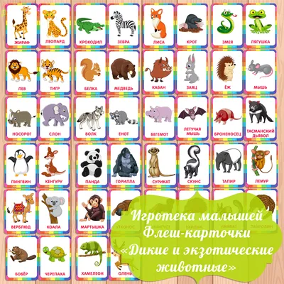 Карточки с животными для детей | Animal flashcards, Animal pictures for  kids, Printable animal pictures