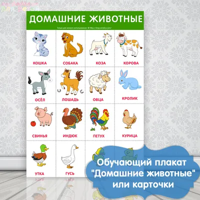 Развивающие карточки для детей "Животные жарких стран" - купить в  интернет-магазине с доставкой по всей России
