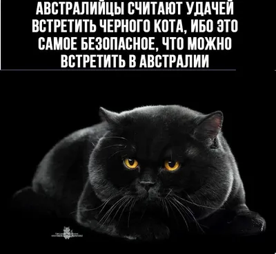 Неромантика Сергея Есенина: 6 жизненных цитат, актуальных сегодня | Журнал   | Дзен