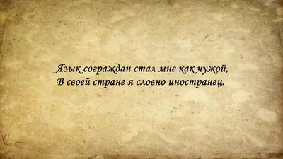 Добрые люди. | Вдохновляющие жизненные цитаты, Мудрые цитаты, Вдохновляющие  фразы