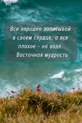 картинки с цитатами и пожеланиями великих летом красивые: 2 тыс изображений  найдено в Янде… | Позитивные цитаты, Вдохновляющие фразы, Вдохновляющие  жизненные цитаты