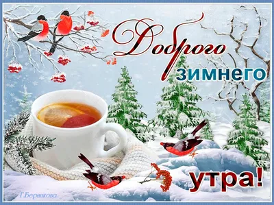 Доброе зимнее утро пятницы - новые открытки (37 ФОТО) | Зимние картинки,  Кошачьи, Открытки