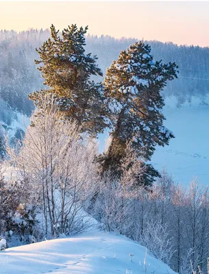 Картины зимней природы в стихах Сергея ЕСЕНИНА и на фотографиях | Природа  дарит вдохновение | Дзен