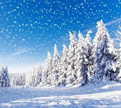 Обои зимняя природа, иней, снег, олень, снежные горы скачать 2560x1600