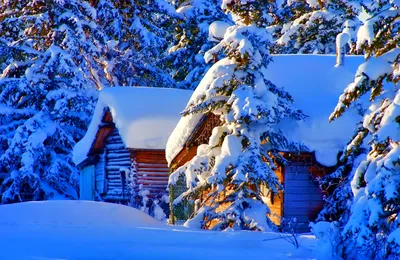Чудеса зимней природы (57 фото) - 57 фото