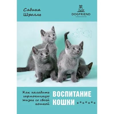 Впечатления бешеные": Сабина Идрисова о своей победе на "Мисс  Казахстан-2023"