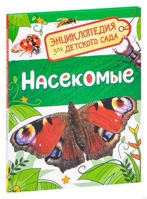 Квест «Сокровища Летнего сада» - уличный квест | Санкт-Петербург Центр