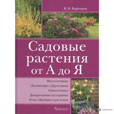 Садовые растения, которые можно выращивать как комнатные | Интернет-магазин садовых  растений