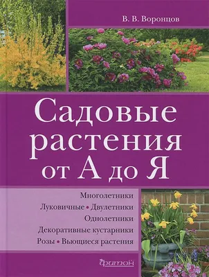 Садовые цветы: самые популярные варианты для посадки