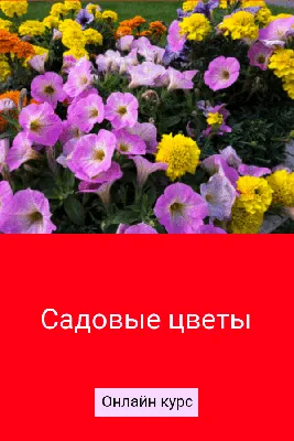 Садовые растения и композиции для начинающих|Онлайн-курс в Школе Сада