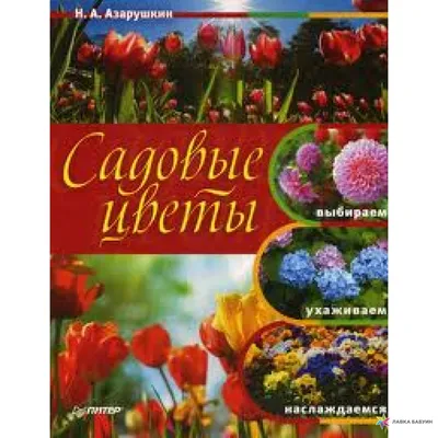 Садовые цветы в картинках. купить оптом в Екатеринбурге от 86 руб. Люмна