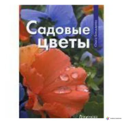 Самые популярные садовые цветы | Садовые цветы фото | Дзен