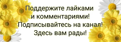 сорт или группа садовых цветов в маленьких вазах или бутылках. цветная  цветочная композиция или украшение в радуге Стоковое Изображение -  изображение насчитывающей торжество, померанцово: 220614189