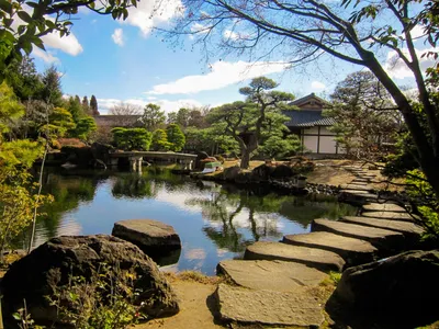 сады китая и японии | Сад дзен, Идеи для садового дизайна, Садовый водопад