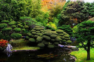 Отличия Китайского и Японского садов / Идеи для сада / Royal Gardens