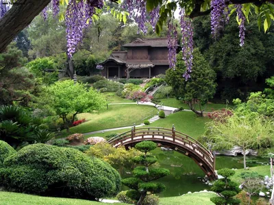 Рейтинг японских садов: сад Художественного музея Адати продолжает  лидировать | 
