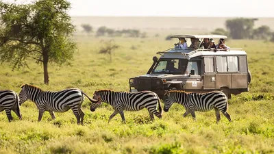 Куда отправиться на сафари в Африке? | AFRICA TRAVEL