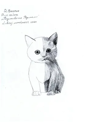 Рисунок кота для срисовки лёгкие для детей (24 шт)