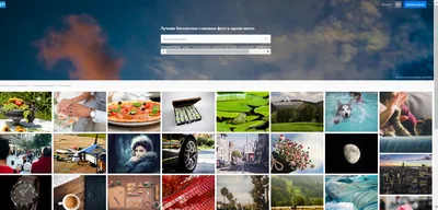 Картинки для сайта - 20 лучших бесплатных фотостоков