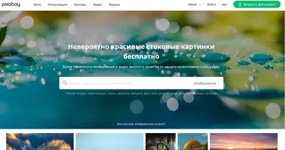 Какие сайты, где можно бесплатно использовать стоковые фотографии, на  нарушая авторские права, вы знаете?» — Яндекс Кью
