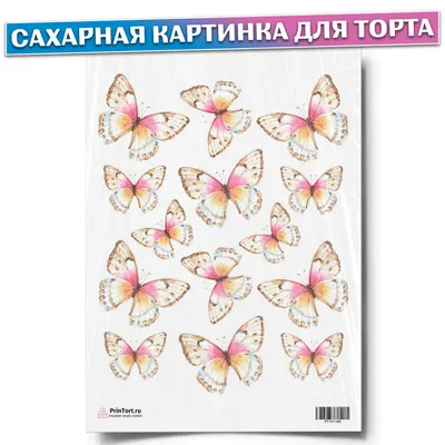 ✓ Семена Горох сахарный Сахарная подружка, 10,0г, Гавриш, Семена от автора  по цене 36 руб. ◈ Большой выбор ◈ Купить по всей России ✓ Интернет-магазин  Гавриш ☎ 8-495-902-77-18