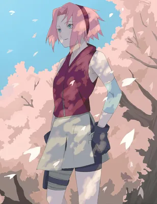 Haruno Sakura - BORUTO: Naruto Next Generations - Image by Pixiv Id 2385196  #983965 - Zerochan Anime Image Board