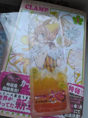 Пенал органайзер Сакура Ловец карт Cardcaptor Sakura CS 50,12  (ID#1829362813), цена: 420 ₴, купить на 