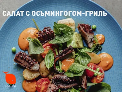 Греческий салат с авокадо рецепт – Греческая кухня: Салаты. «Еда»