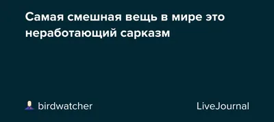 Самый смешной анекдот в мире в 2023 году: 50+ шуток