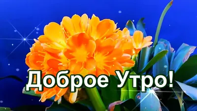 Картинки "С Добрым Утром!" бесплатно (1112 шт.)