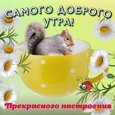 Открытки "Доброе утро!" (700+)