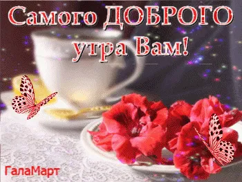 Самого доброго утра. Добрых людей Вам навстречу! - Лента новостей Мелитополя