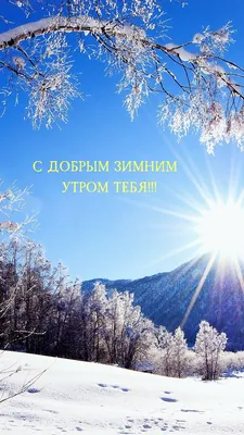 Открытка "Самого доброго зимнего утра", с котом в сугробе • Аудио от  Путина, голосовые, музыкальные