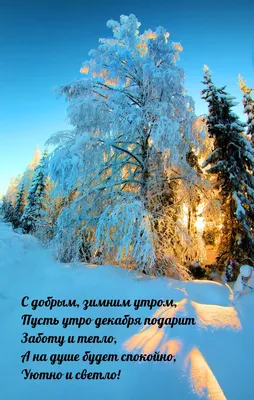 Картинки с надписями. Самого доброго зимнего утра желаю, Вставать тяжело, я  знаю! .